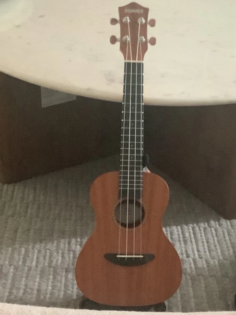 Black and Tan Tenor Ukulele and Bag